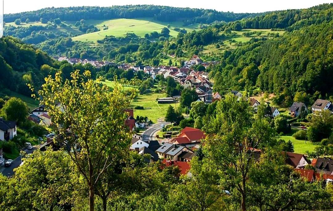 Geishöhe Landgasthof Rose Dammbach Exterior foto